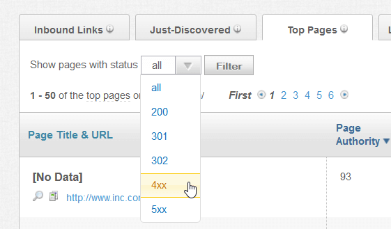 From the drop-down menu "Show pages with status" choose "4xx"